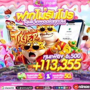 แนะนำโปร13